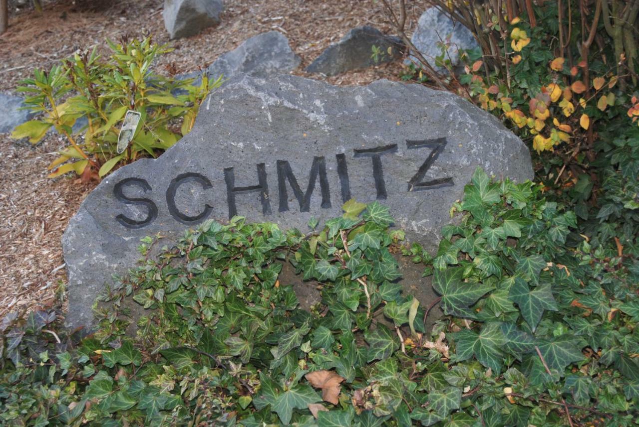 Ferienwohnung Schmitz Anschau Kültér fotó
